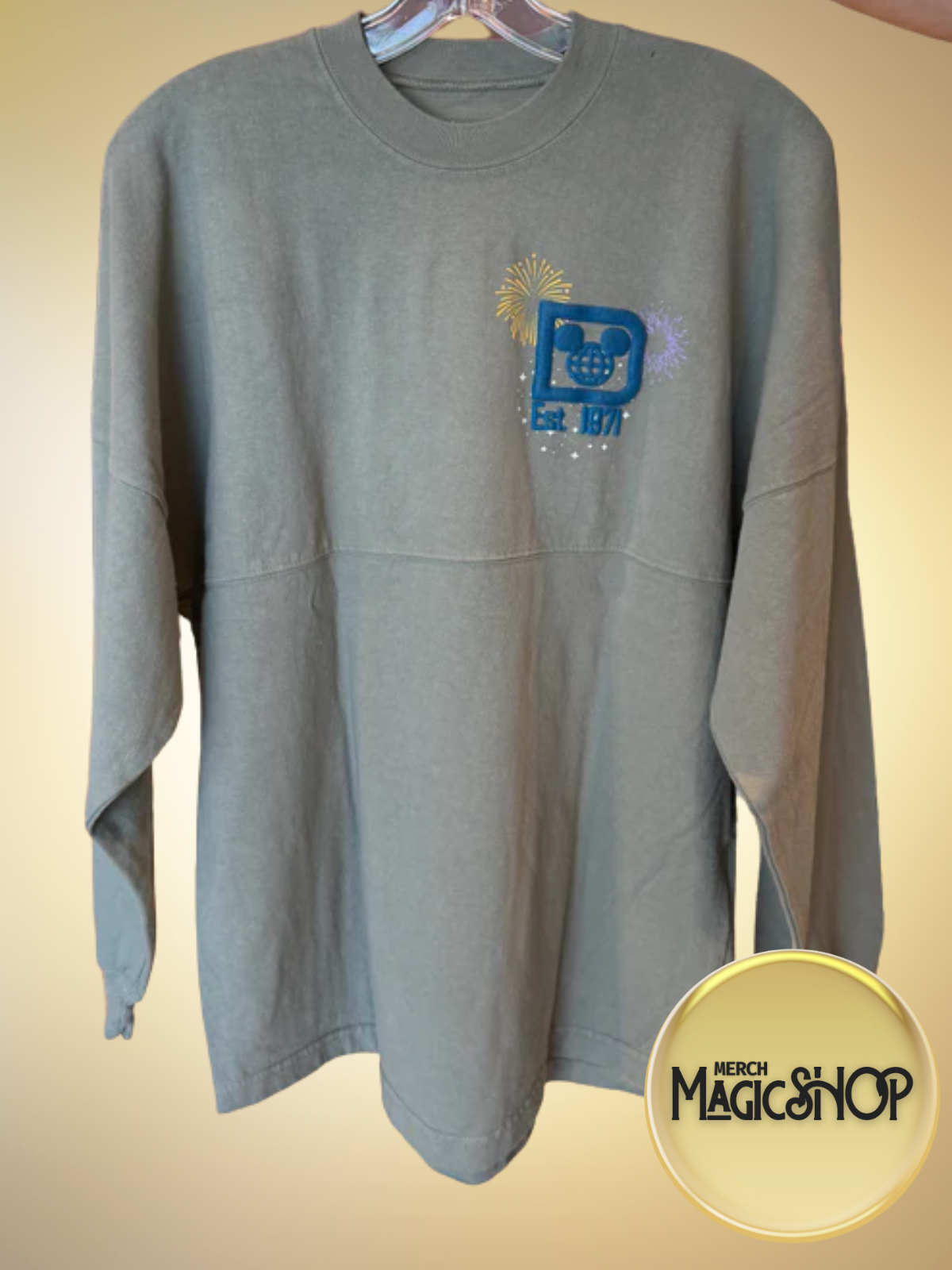 2025 Disney Parks Walt Disney World Attractions Spirit Jersey